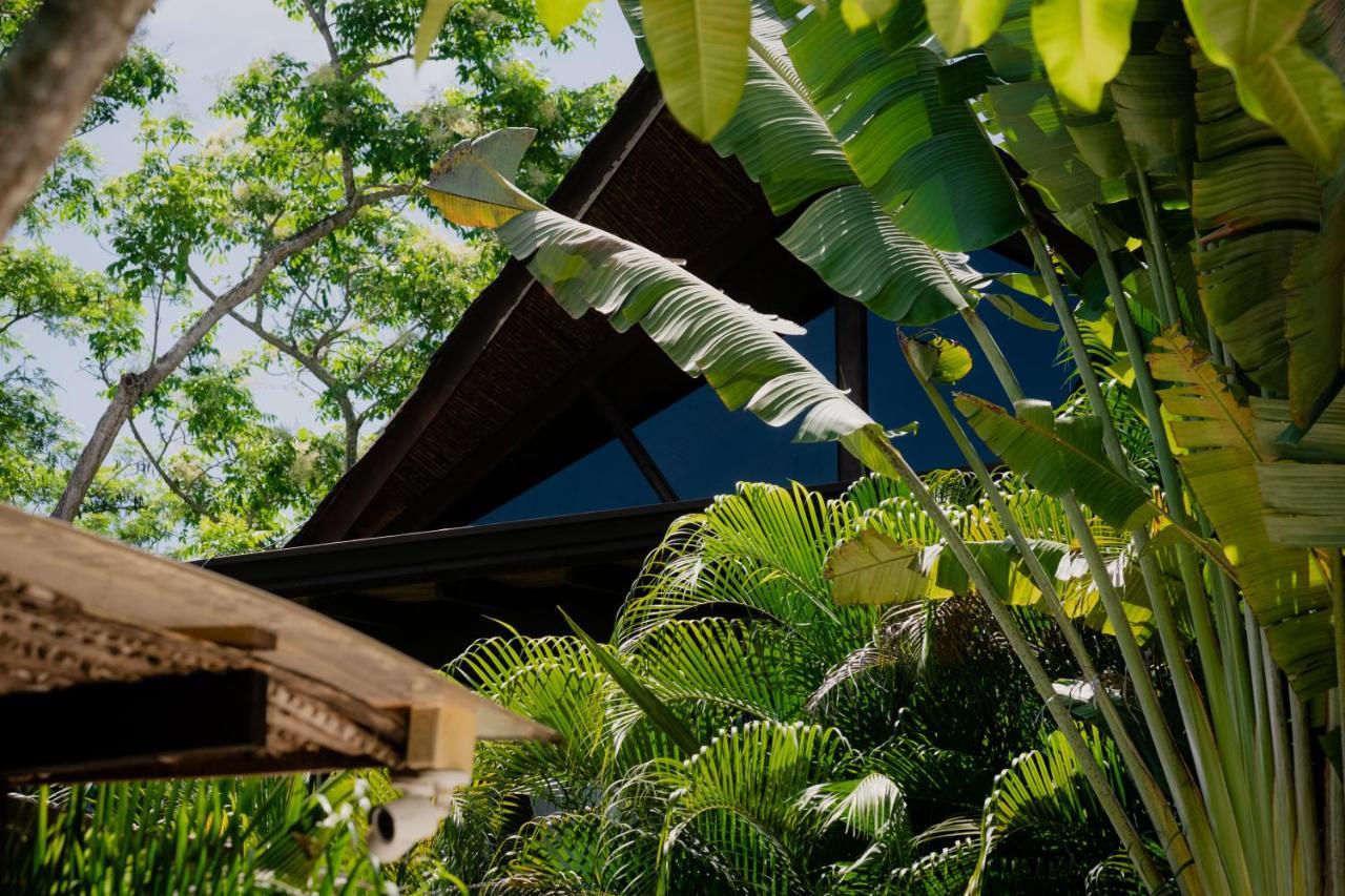Lua Villas Playa Santa Teresa  Zewnętrze zdjęcie